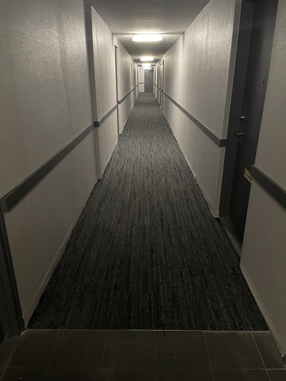 Multi-unit building corridor with grey carpet, handrails, white walls, and dark trim