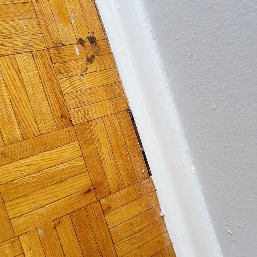 Worn parquet edge and perimeter gap before sanding and finishing