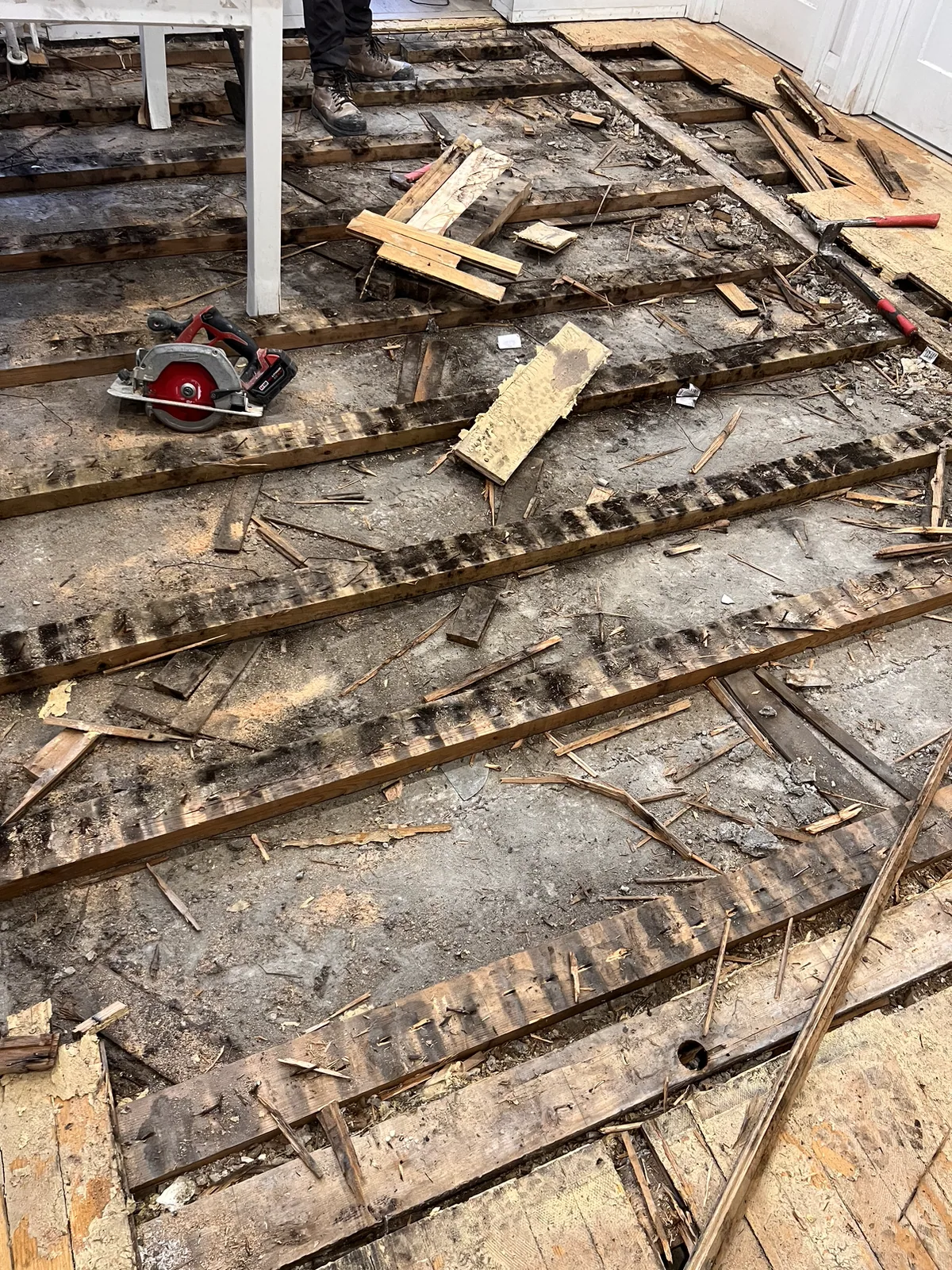 Exposed floor framing after removal of damaged flooring and subfloor on Eglinton Avenue West
