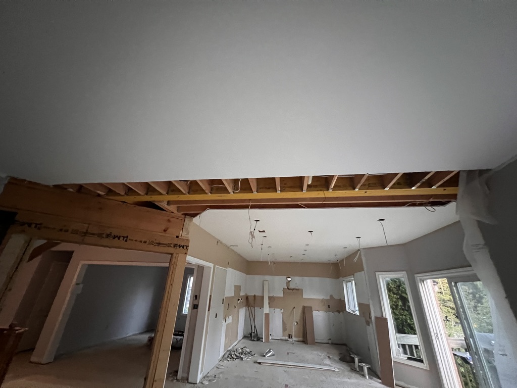 Wide room view during demolition and structural opening work